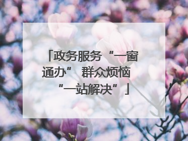 政务服务“一窗通办” 群众烦恼“一站解决”