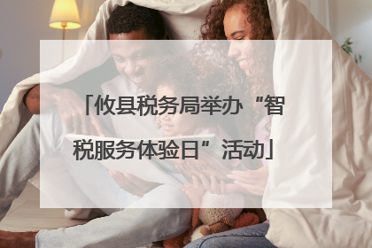 攸县税务局举办“智税服务体验日”活动