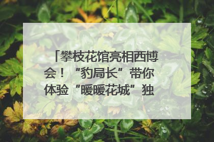 攀枝花馆亮相西博会！“豹局长”带你体验“暖暖花城”独特魅力｜西博视界