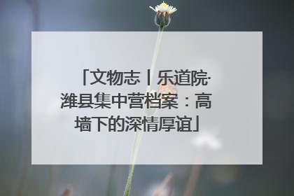 文物志丨乐道院·潍县集中营档案：高墙下的深情厚谊