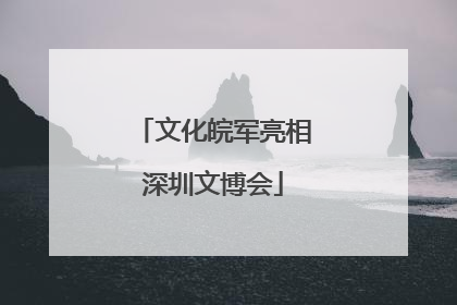 文化皖军亮相深圳文博会
