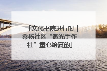 文化书院进行时｜桑杨社区“微光手作社”童心绘夏韵