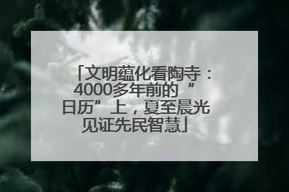 文明蕴化看陶寺：4000多年前的“日历”上，夏至晨光见证先民智慧