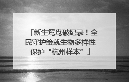 新生鸳鸯破纪录！全民守护绘就生物多样性保护“杭州样本”