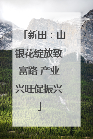 新田：山银花绽放致富路 产业兴旺促振兴