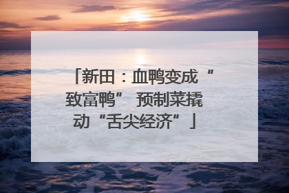 新田：血鸭变成“致富鸭” 预制菜撬动“舌尖经济”