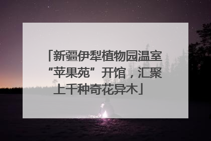 新疆伊犁植物园温室“苹果苑”开馆，汇聚上千种奇花异木