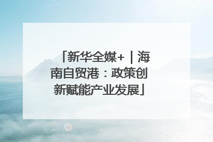 新华全媒+｜海南自贸港：政策创新赋能产业发展