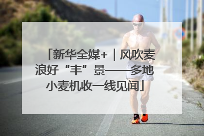 新华全媒+｜风吹麦浪好“丰”景——多地小麦机收一线见闻