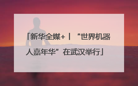 新华全媒+丨“世界机器人嘉年华”在武汉举行