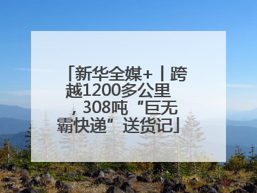 新华全媒+丨跨越1200多公里，308吨“巨无霸快递”送货记