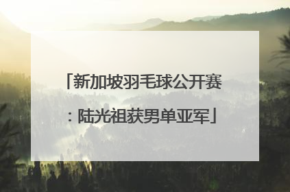 新加坡羽毛球公开赛：陆光祖获男单亚军