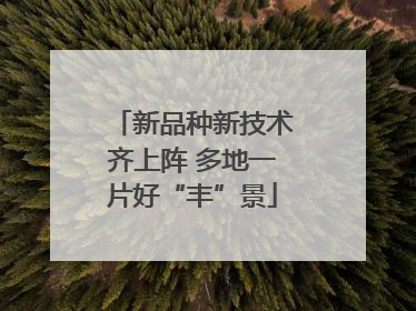 新品种新技术齐上阵 多地一片好“丰”景