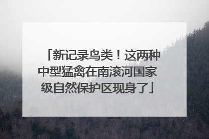 新记录鸟类！这两种中型猛禽在南滚河国家级自然保护区现身了
