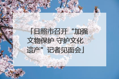 日照市召开“加强文物保护 守护文化遗产”记者见面会
