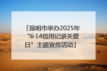 昆明市举办2025年“6·14信用记录关爱日”主题宣传活动