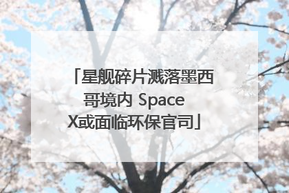 星舰碎片溅落墨西哥境内 SpaceX或面临环保官司