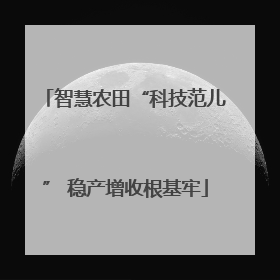 智慧农田“科技范儿” 稳产增收根基牢