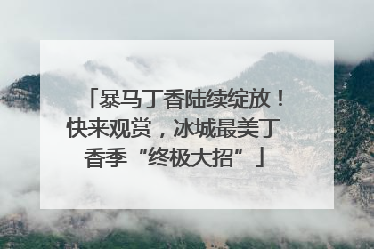 暴马丁香陆续绽放！快来观赏，冰城最美丁香季“终极大招”