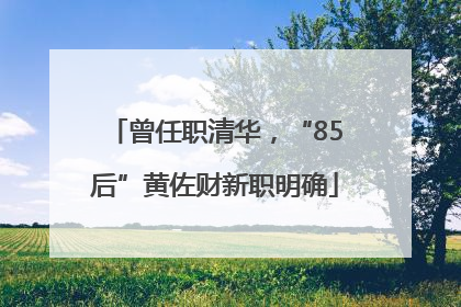 曾任职清华，“85后”黄佐财新职明确