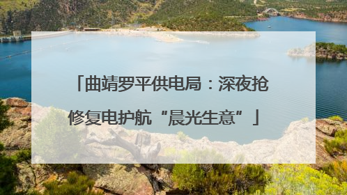曲靖罗平供电局：深夜抢修复电护航“晨光生意”