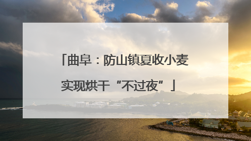 曲阜：防山镇夏收小麦实现烘干“不过夜”