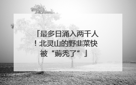 最多日涌入两千人！北灵山的野韭菜快被“薅秃了”