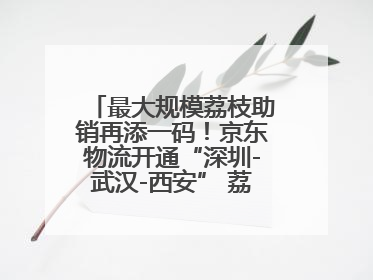 最大规模荔枝助销再添一码！京东物流开通“深圳-武汉-西安” 荔枝全货机航线