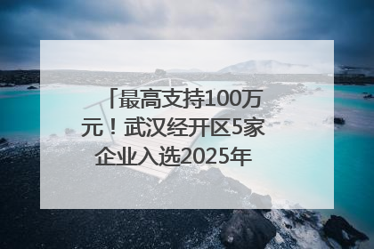 最高支持100万元！武汉经开区5家企业入选2025年度武汉市重点研发计划拟立项项目名单