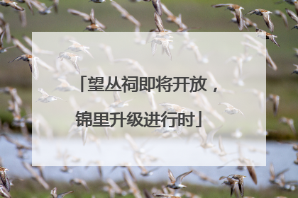 望丛祠即将开放，锦里升级进行时