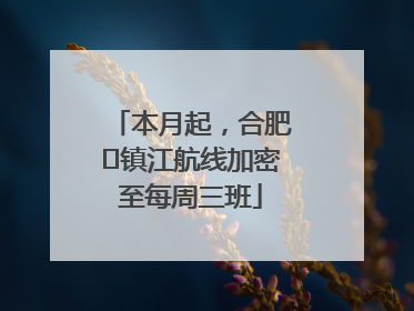 本月起，合肥⇋镇江航线加密至每周三班