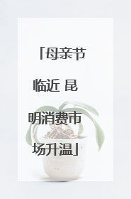 母亲节临近 昆明消费市场升温