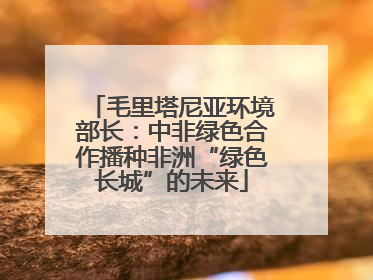 毛里塔尼亚环境部长：中非绿色合作播种非洲“绿色长城”的未来