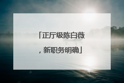 正厅级陈白薇，新职务明确