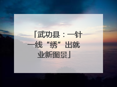 武功县：一针一线“绣”出就业新图景