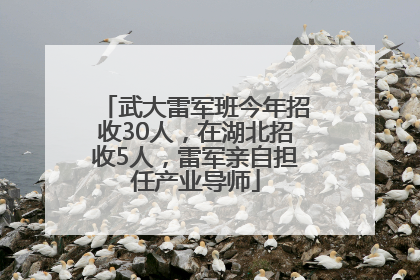 武大雷军班今年招收30人，在湖北招收5人，雷军亲自担任产业导师