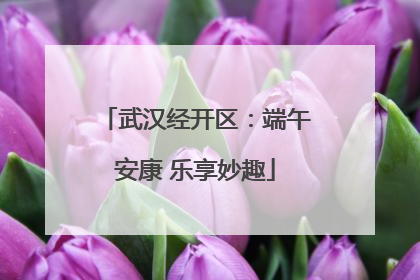 武汉经开区：端午安康 乐享妙趣