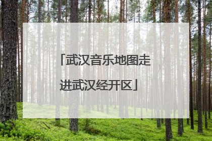 武汉音乐地图走进武汉经开区