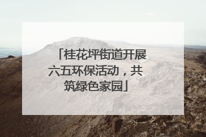桂花坪街道开展六五环保活动，共筑绿色家园