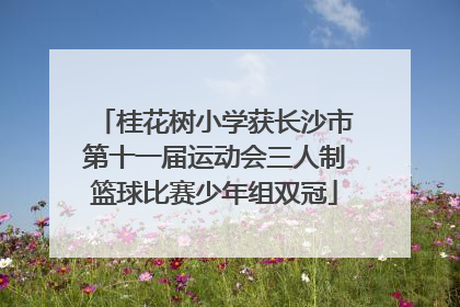 桂花树小学获长沙市第十一届运动会三人制篮球比赛少年组双冠