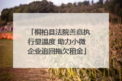 桐柏县法院善意执行显温度 助力小微企业追回拖欠租金