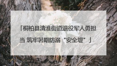 桐柏县清淮街道退役军人勇担当 筑牢暑期防溺“安全堤”