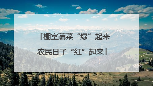 棚室蔬菜“绿”起来 农民日子“红”起来