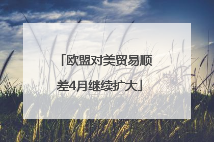 欧盟对美贸易顺差4月继续扩大