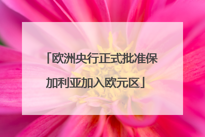 欧洲央行正式批准保加利亚加入欧元区
