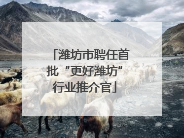 潍坊市聘任首批“更好潍坊”行业推介官