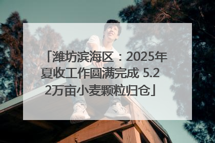 潍坊滨海区：2025年夏收工作圆满完成 5.22万亩小麦颗粒归仓