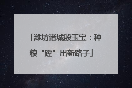 潍坊诸城殷玉宝：种粮“蹚”出新路子