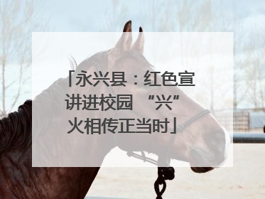 永兴县：红色宣讲进校园 “兴”火相传正当时