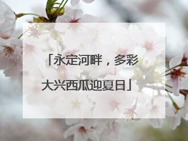 永定河畔，多彩大兴西瓜迎夏日